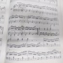 대상체르니 이미지