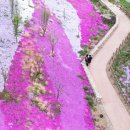 지리산생태체험단지 이미지