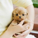 울진동물병원 이미지