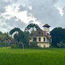 하우하우스(How House) | [발리 여행] 가성비 숙소 우붓 쿠 게스트 하우스 후기 | Ubud Ku Guest House