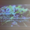 퍼플미학 이미지