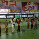 용인대푸른태권도 이미지