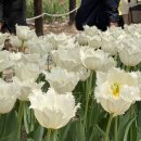 지에스(GS)25연지공원점 이미지