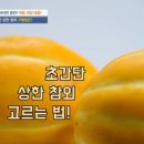 쌍둥이과일