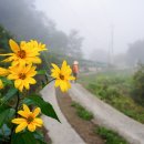 개삼경로당 이미지