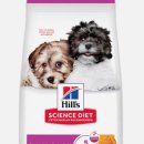 강아지,반하다 이미지