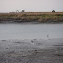 김녕초등학교 이미지