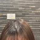 (주)업실링 | [공지] [화정역 준오헤어] 화정 미용실 애쉬브라운 염색+시세이도 클리닉 받은 후기 feat.서희쌤