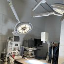 의왕동물병원 이미지