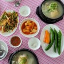 성건 | [경주/성건] 누룽지삼계탕 본마실 내돈내산 후기
