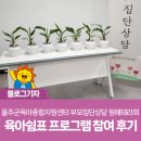 원예테라피 | [울주군육아종합지원센터] 부모집단상담 원예테라피 - 육아쉼표 프로그램 참여 후기
