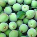 동호농장 이미지