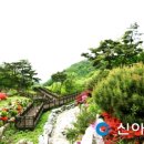 양평쉬자파크 이미지