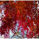 왕지아파트 옆 이미지