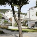 하오개길 이미지