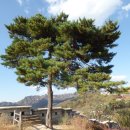 우장초등학교 이미지