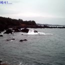 제주월드컵경기장내 이미지