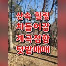 박영태농장 이미지