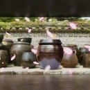 울산옹기박물관 이미지