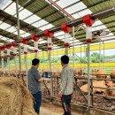 일선축산 이미지