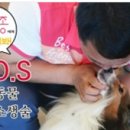 동물사랑약국 이미지