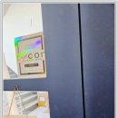 효자5동 주민센터 | 왁싱유목민 정착 성공! 전주왁싱 잘하는곳 혜영이왁싱 추천 후기!
