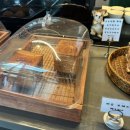 밀양 대형 카페 그로브: 위양지 근처 뷰가 멋진 힐링 카페(얼음골사과케이크 후기)