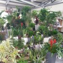 동광양꽃판매장 이미지