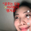 스시판다 이미지