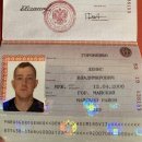 황금고블린 이미지