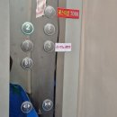(남편과데이트)대전 월평동 피자&amp;샐러드&amp;디저트 맛집 디저트베이커리카페 미미숲
