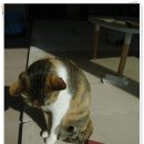 부성상회 이미지