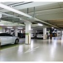 골든트리공인중개사사무소 이미지