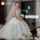 니어스냅