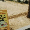 삼익2차아파트정문 앞 이미지