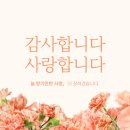 용인대새봄태권도 이미지