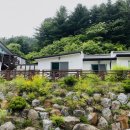 레터스펜션 이미지