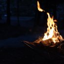 왕피천 숲속 캠핑장 이미지