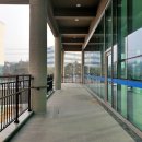 금빛 체육센터 이미지