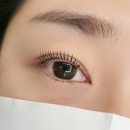 뷰티_유리하다