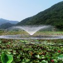 상리공원 내 이미지