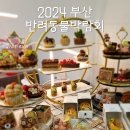 &#39;2024 부산 반려동물 박람회&#39; 후기 주차 참여업체