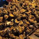 가-54 | 12월 부산 가볼만한 곳 남포동 트리축제 정보 및 54번 굴포차 방문실패후기