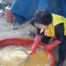 고운리농장 네이버블로그