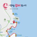 YOLO갈맷길 7코스 이미지