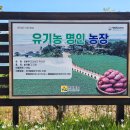 안고농장 이미지