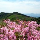 소백산당골민박 이미지