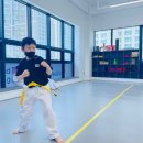 빛나리 태권도장 이미지