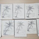 연필화(중급) 이미지