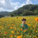 마야유치원 이미지